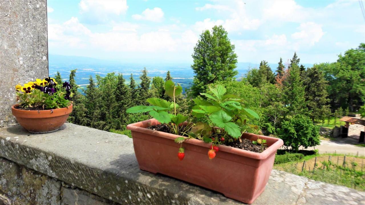 A Due Passi Dal Chianti Lägenhet Cavriglia Exteriör bild